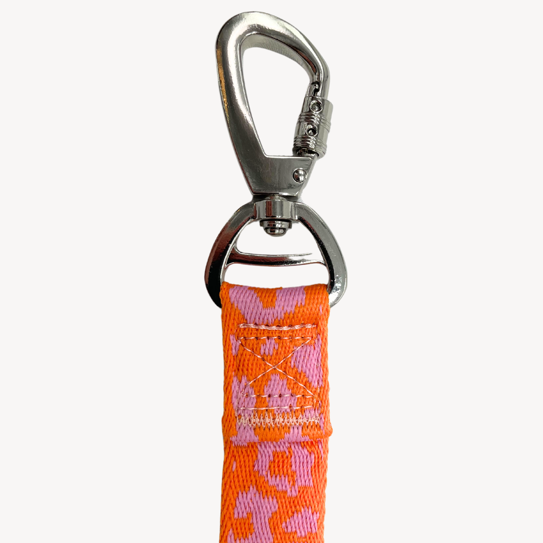 Panther - Orange/Pink - Hundeleine