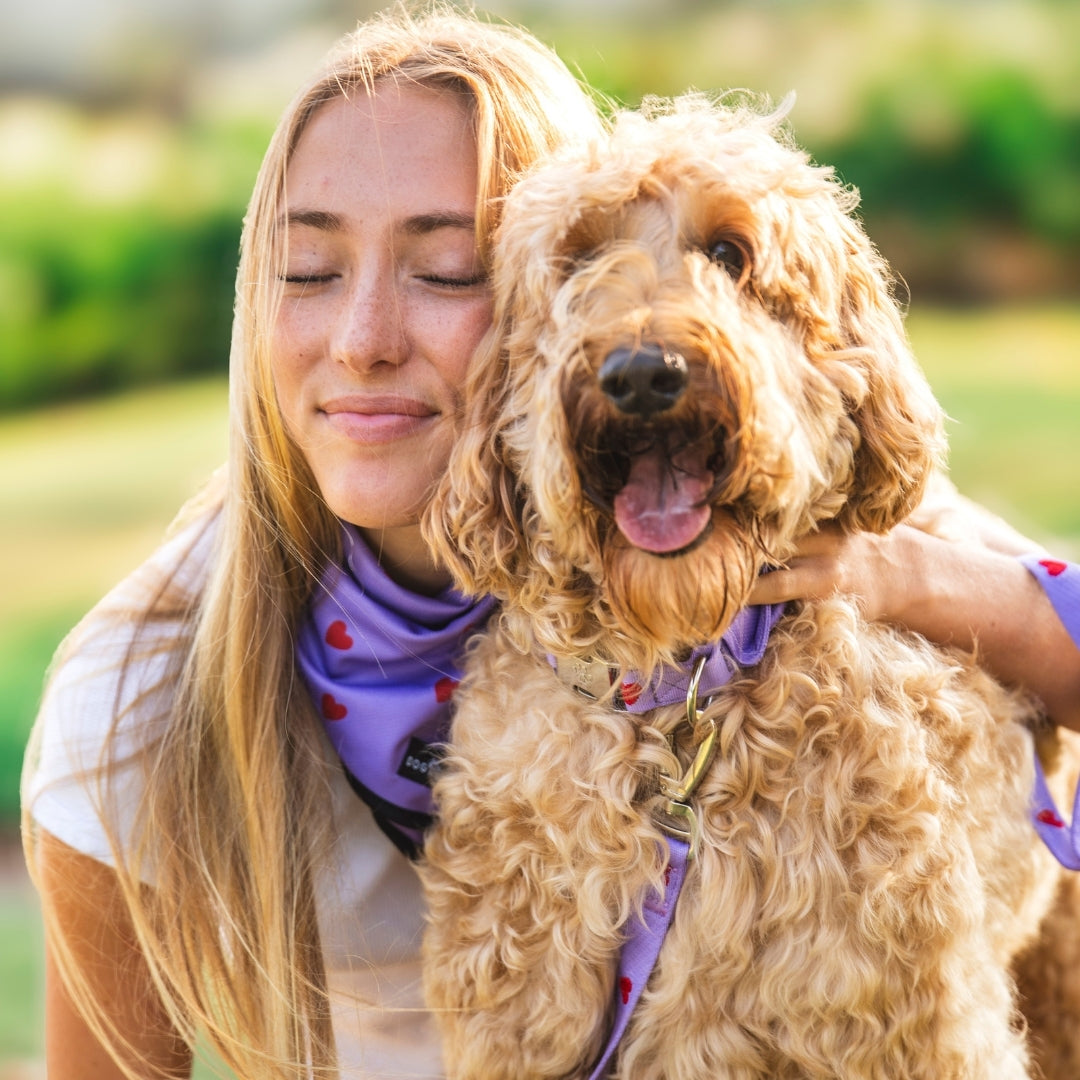 Herzen - Lila - Trail Hunter Duo Set