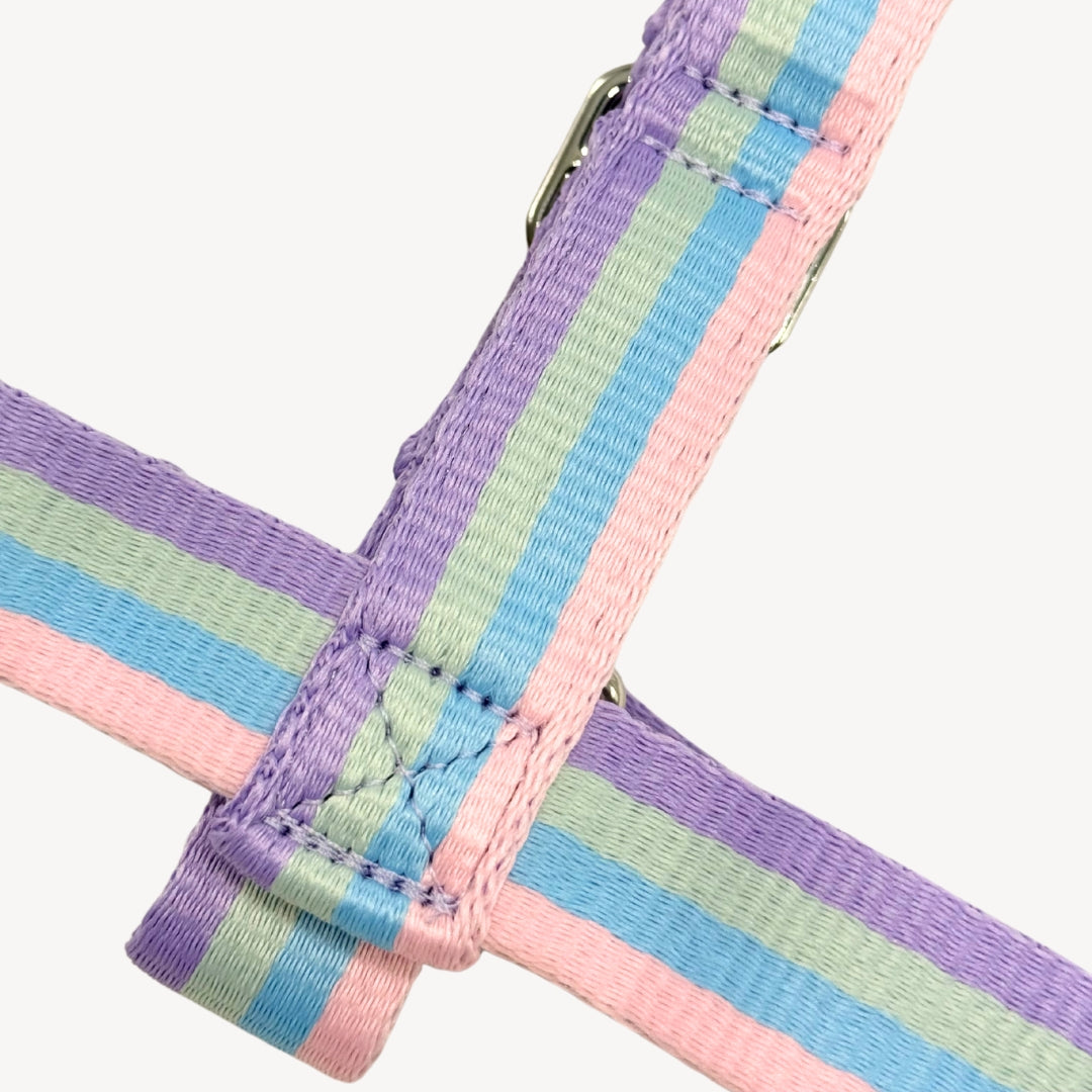 Regenbogen - Geschirr / Hundegeschirr