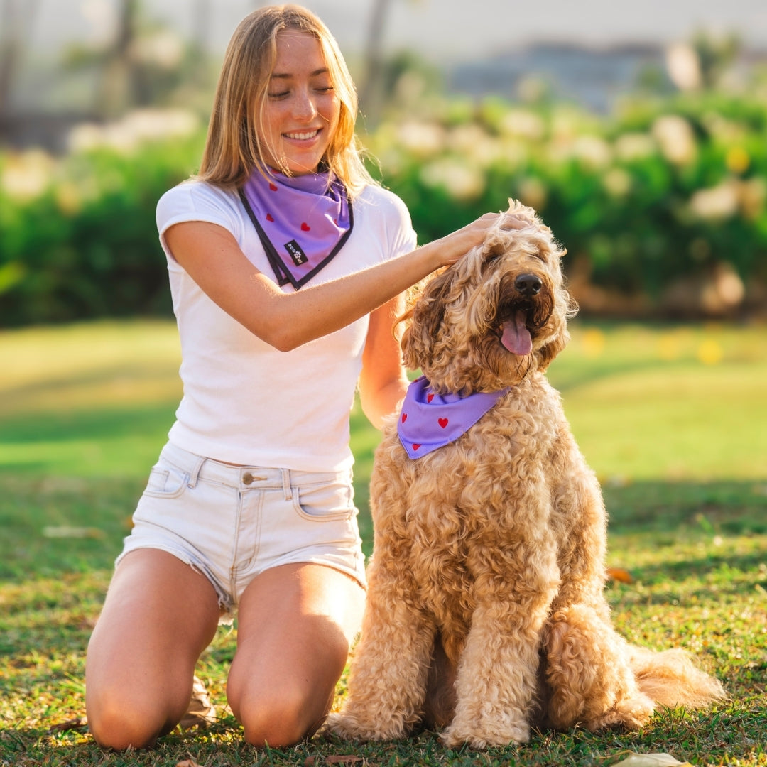 Herzen - Lila - Matching Bandana-Set