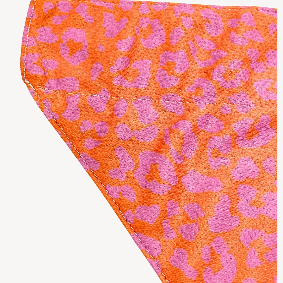 Panther - Orange/Pink - Bandana Hund