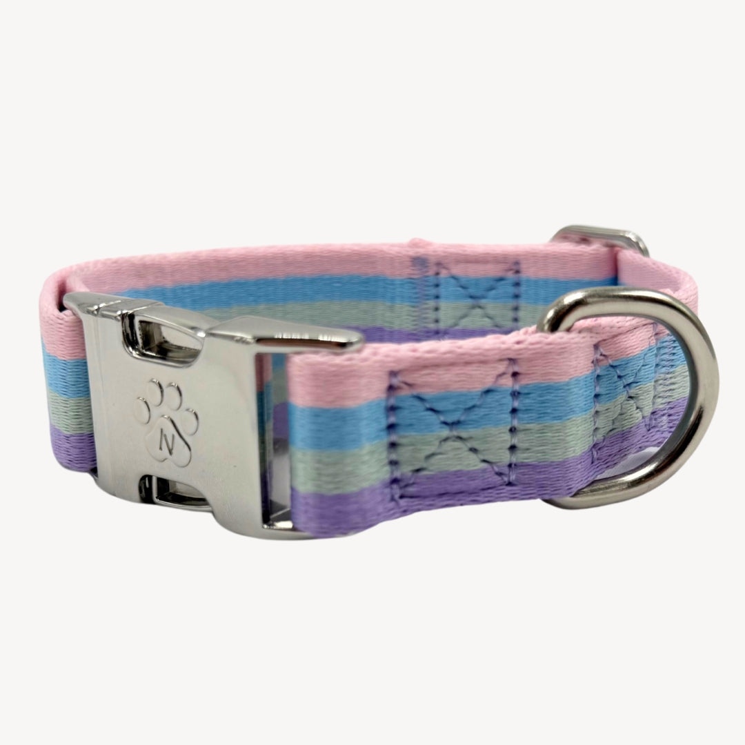 Regenbogen - Hundehalsband