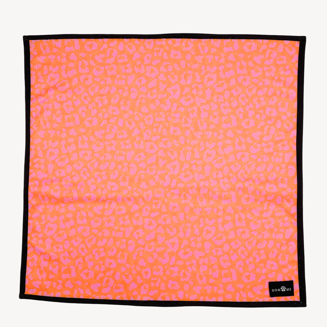 Panther - Orange/Pink - Matching Bandana-Set