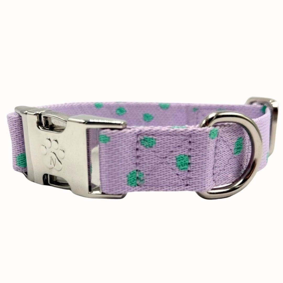 Solid - Schwarz - Hundehalsband