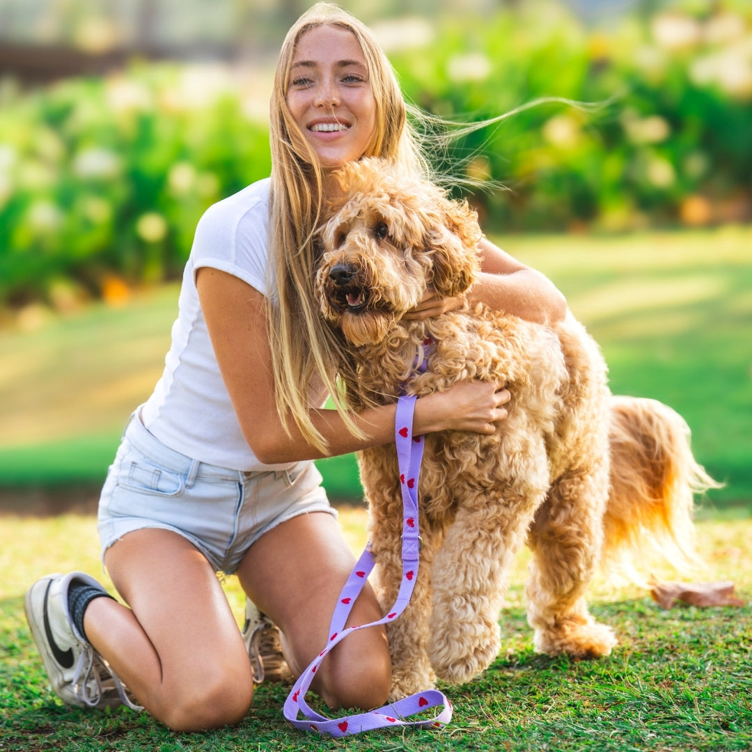 Herzen - Lila - Trail Hunter Duo Set