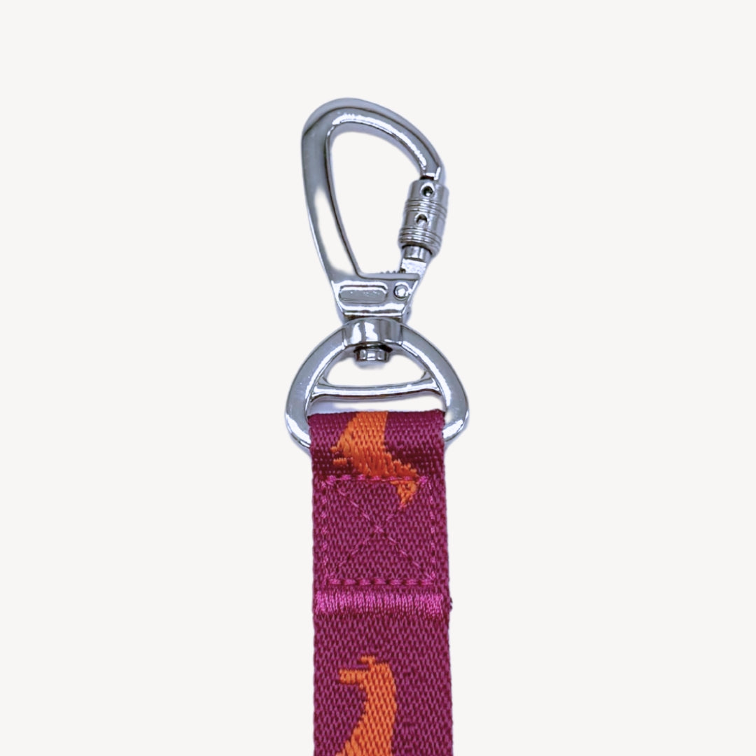 Dachshunds - Dog Leash