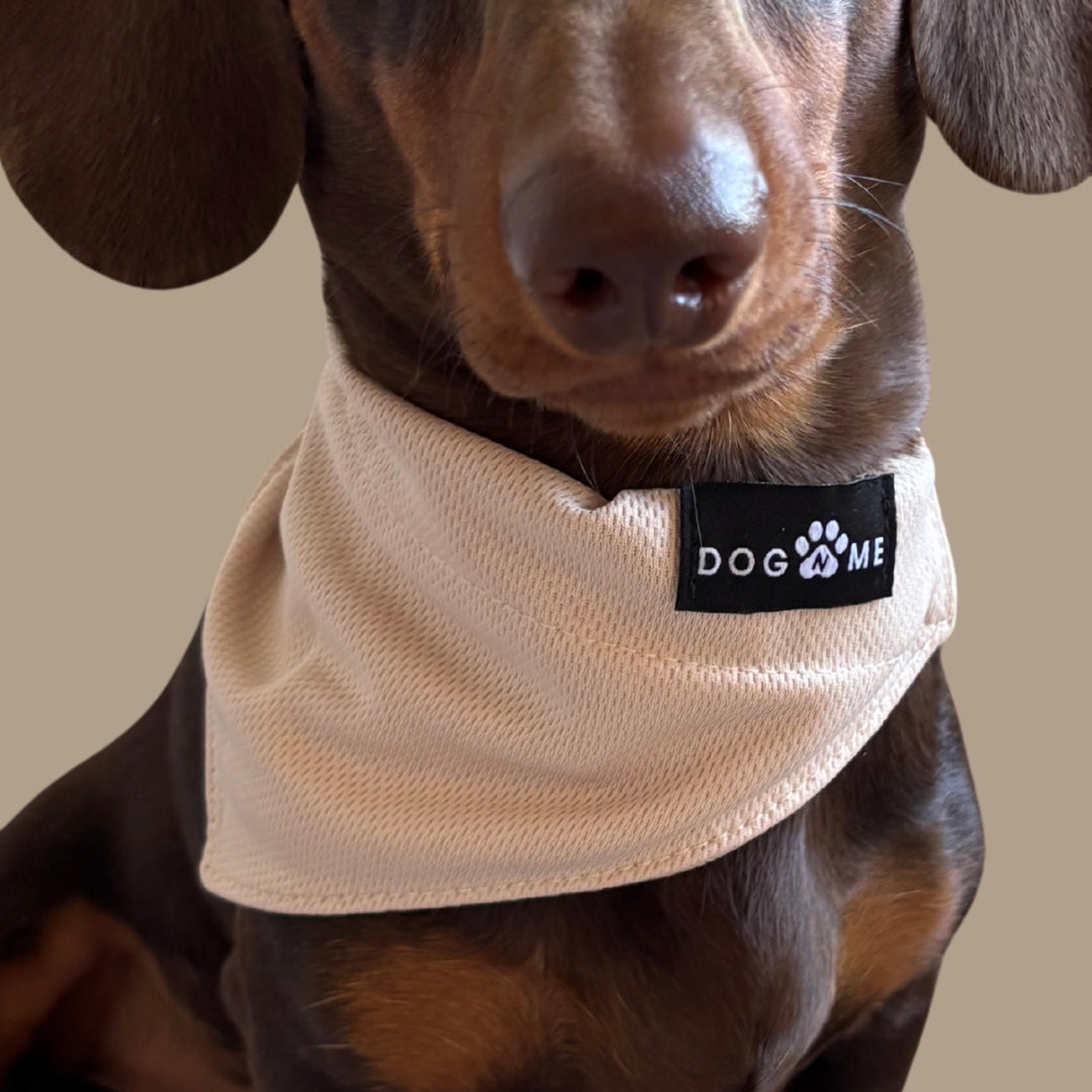 Solid - Sand - Matching Bandana-Set