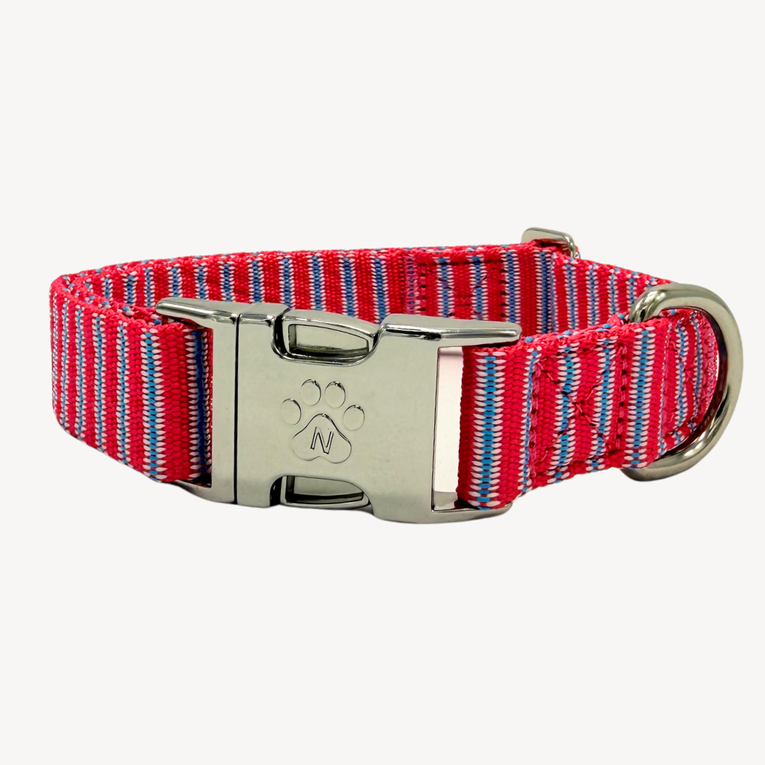 Riviera - Halsband Hund
