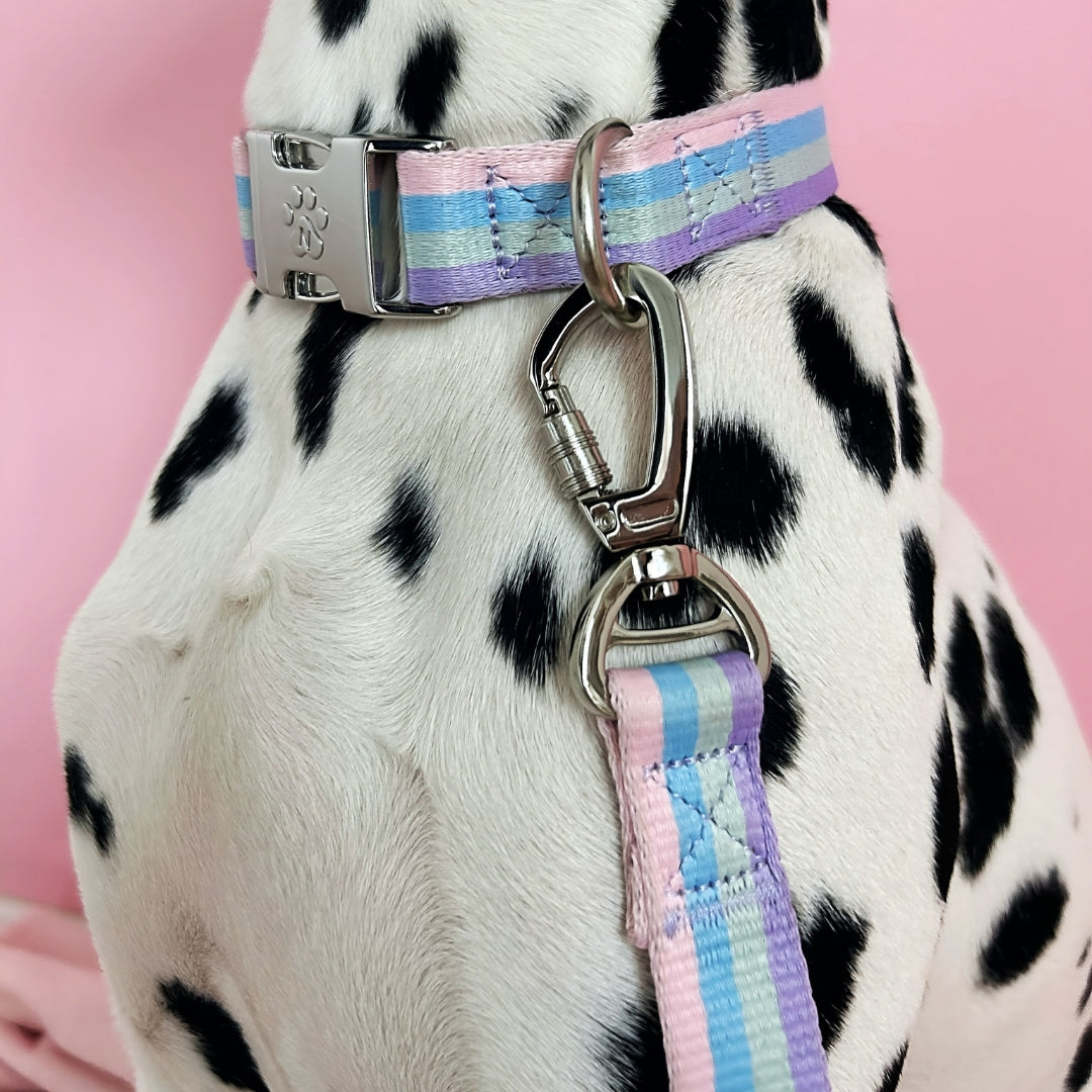 Rainbow - Trail Hunter Duo-Set