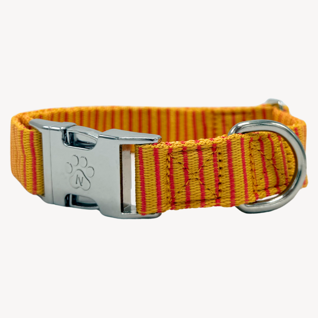 Pinstripe - Halsband Hund