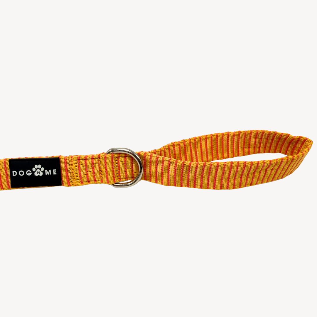 Pinstripe - Dog Leash