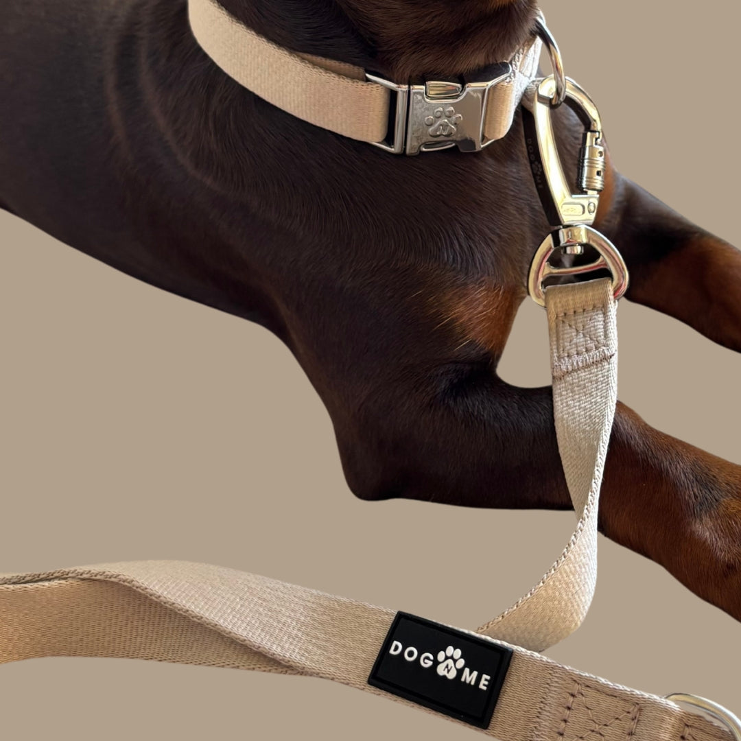 Solid - Sand - Trail Hunter Duo Set