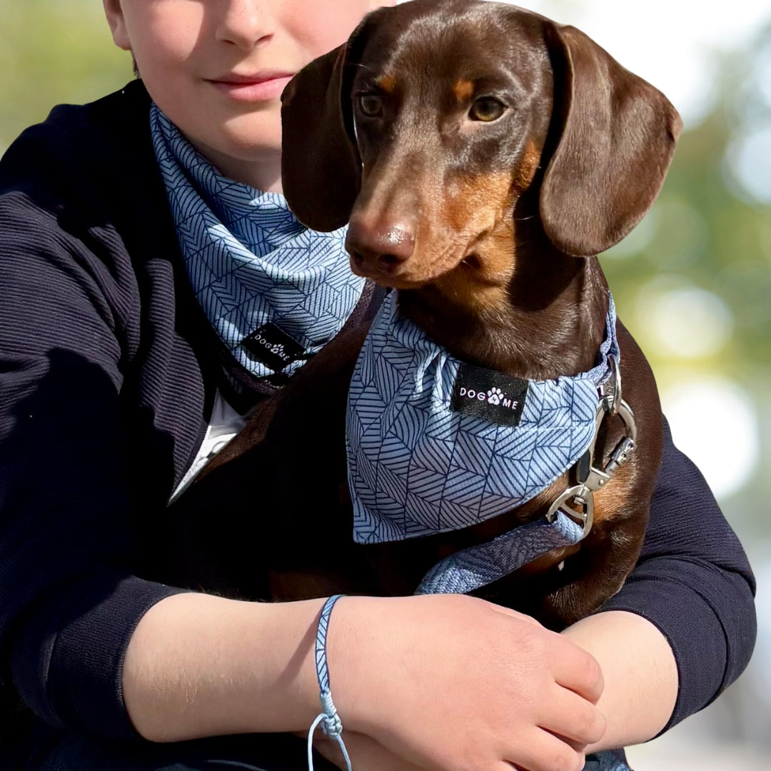 Denim – Blau – Matching Paws Set