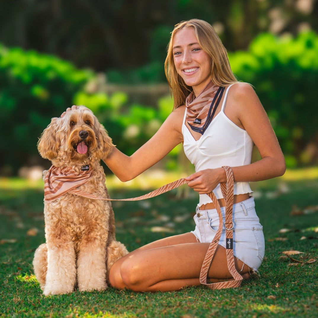 Zebra - Matching Bandana-Set