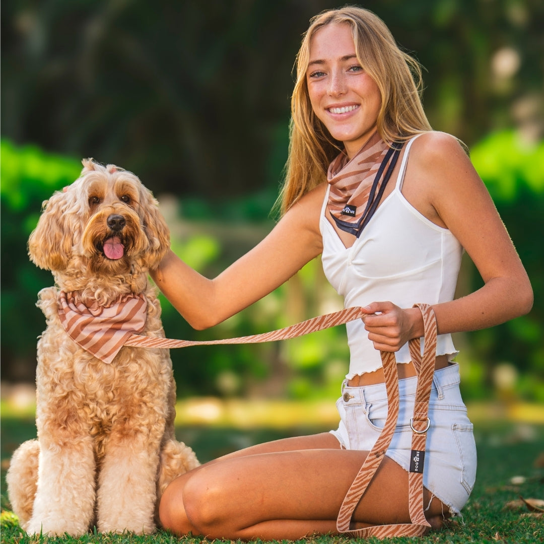 Zebra - Bandana Hund