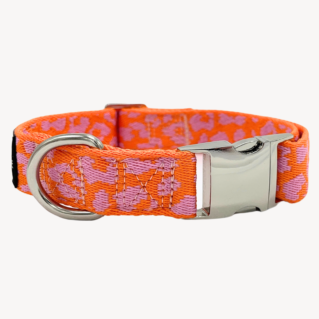 Panther - Orange/Pink - Hundehalsband