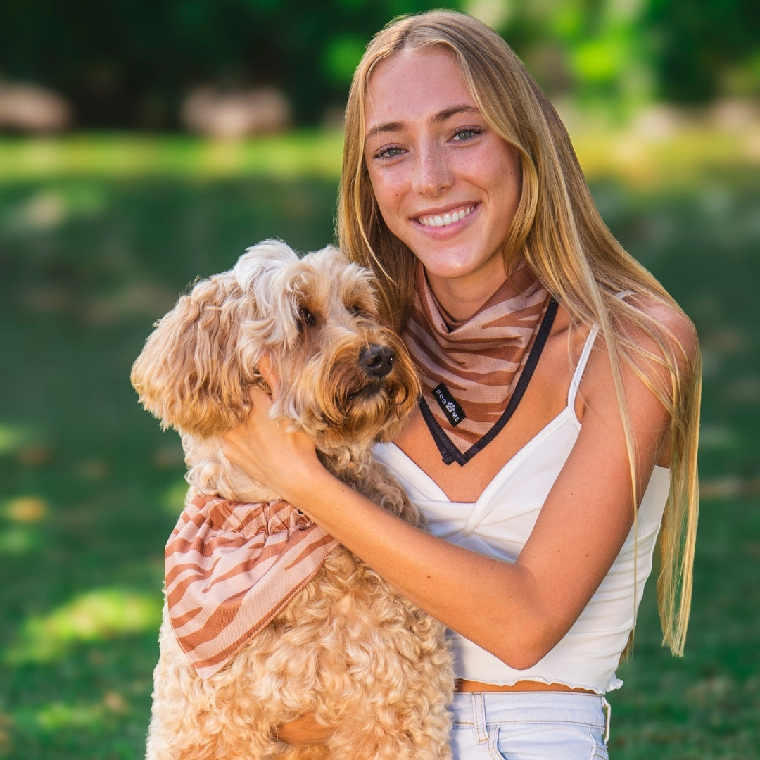 Zebra - Matching Bandana-Set