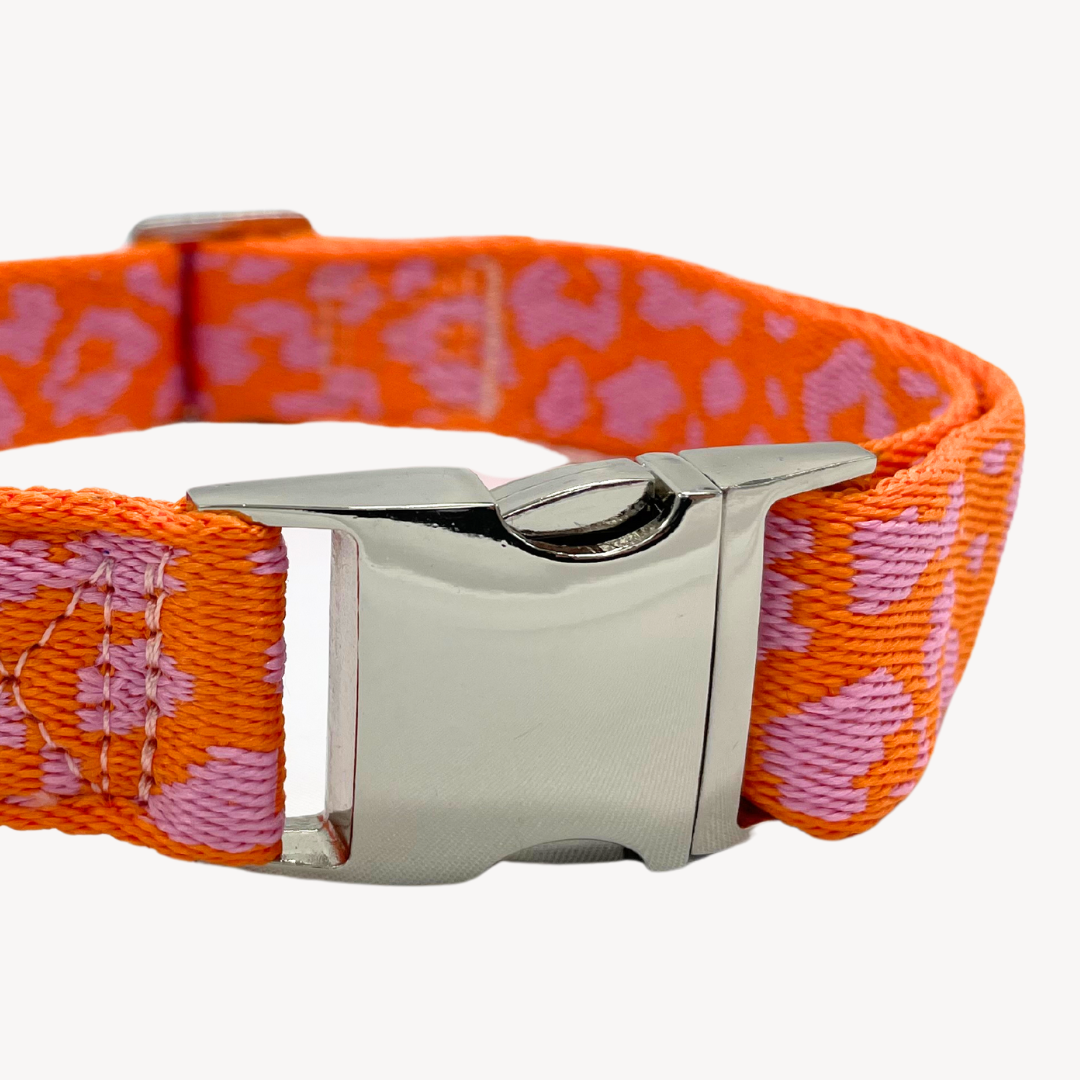 Panther - Orange/Pink - Hundehalsband