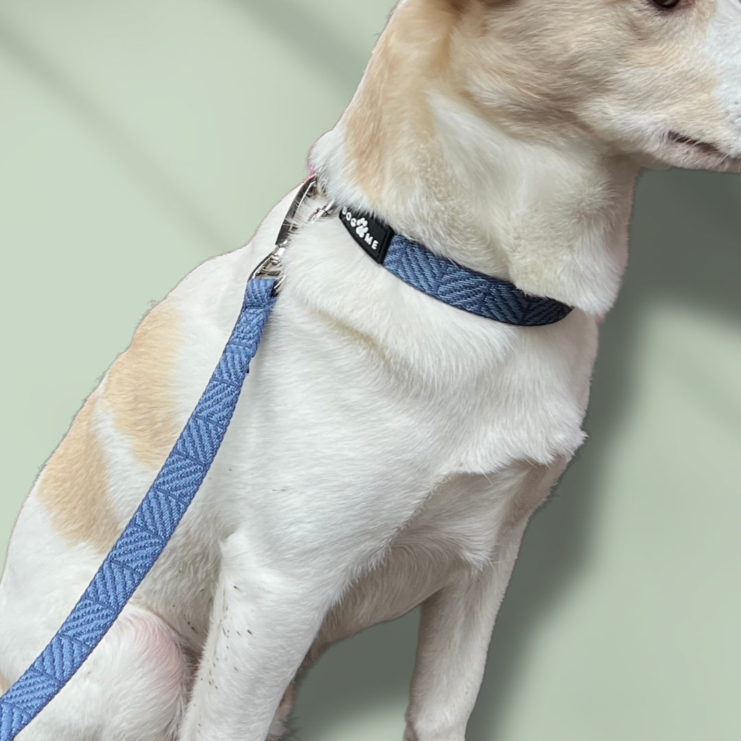 Denim - Blue - Dog Collar