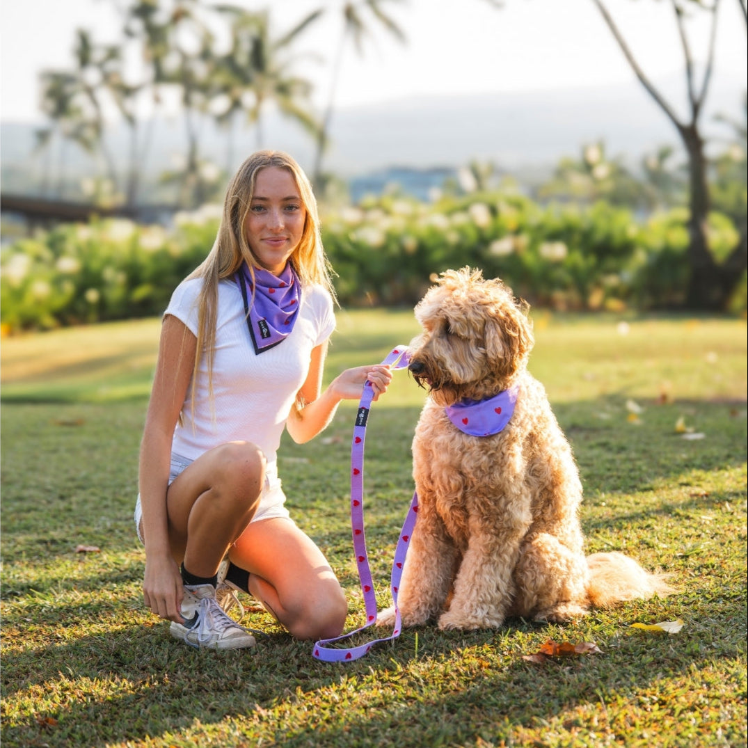 Herzen - Lila - Matching Bandana-Set