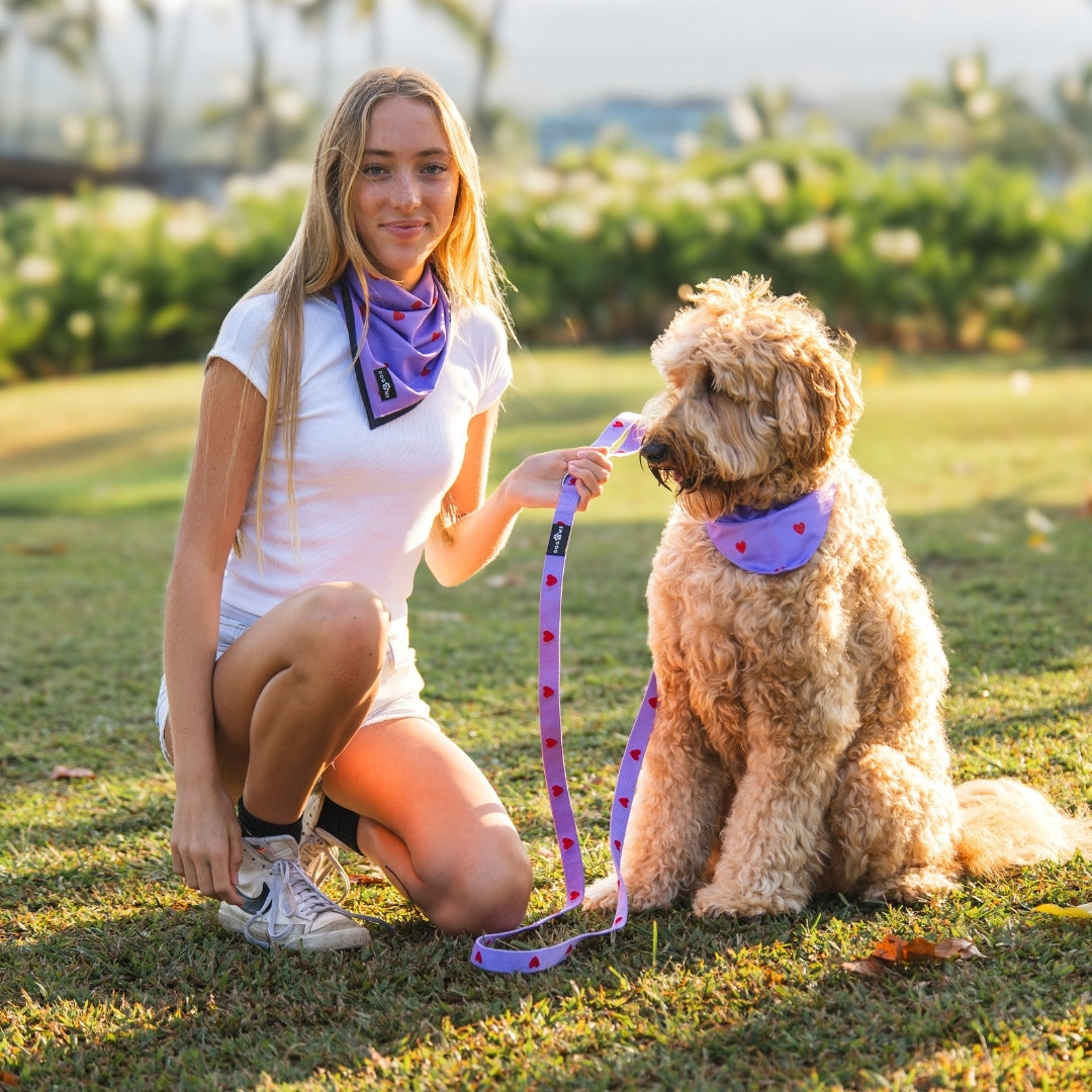 Herzen - Lila - Trail Hunter Duo Set