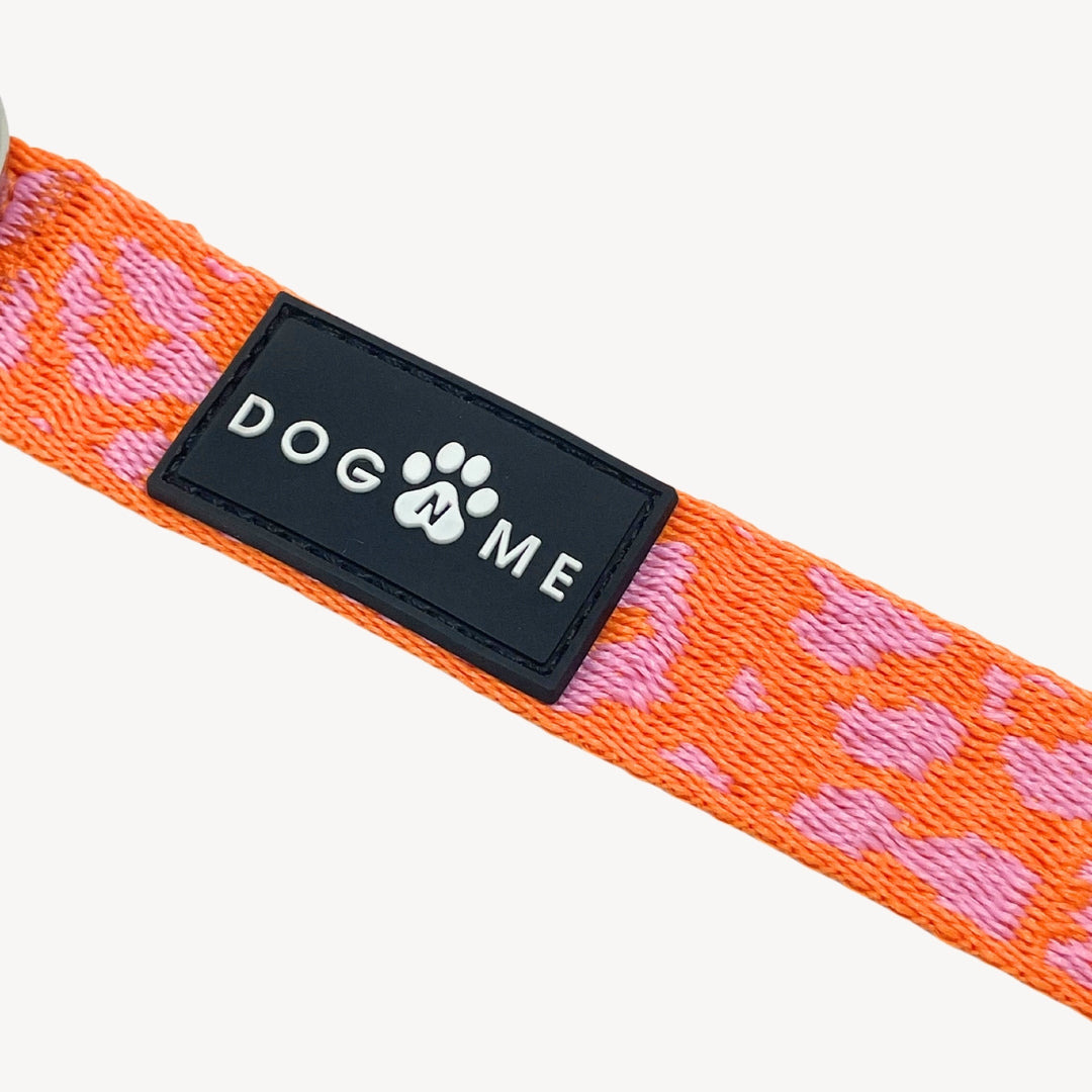 Panther - Orange/Pink - Dog Collar