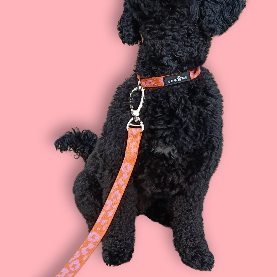 Panther - Orange/Pink - Hundeleine