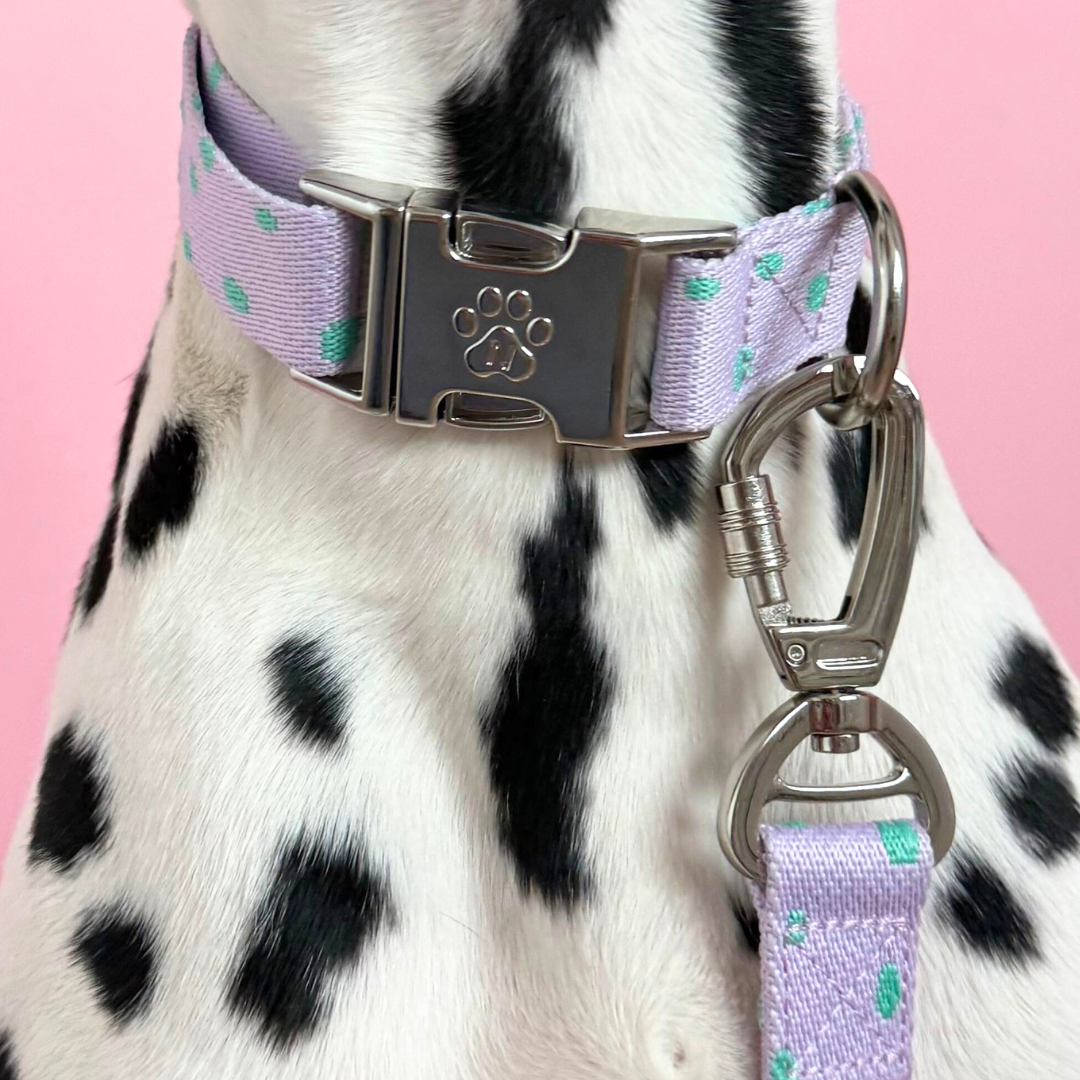 Polkadot - Hundehalsband
