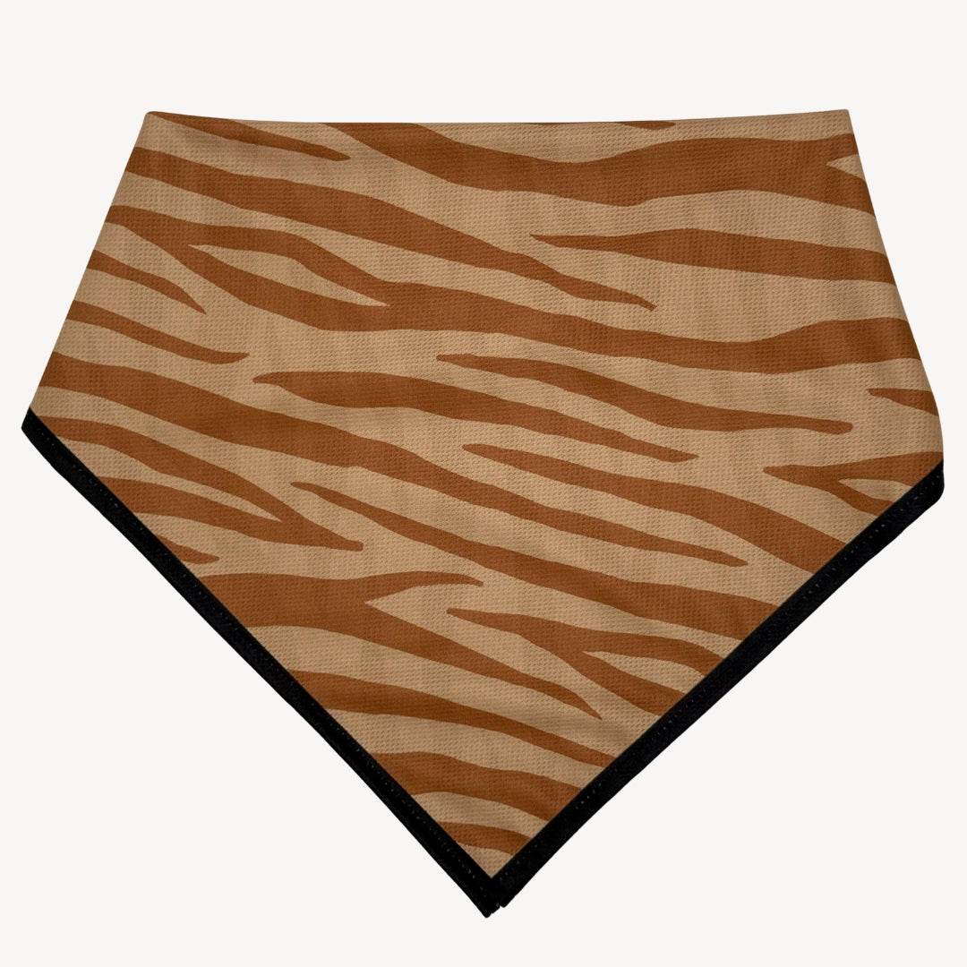 Zebra - Matching Bandana-Set