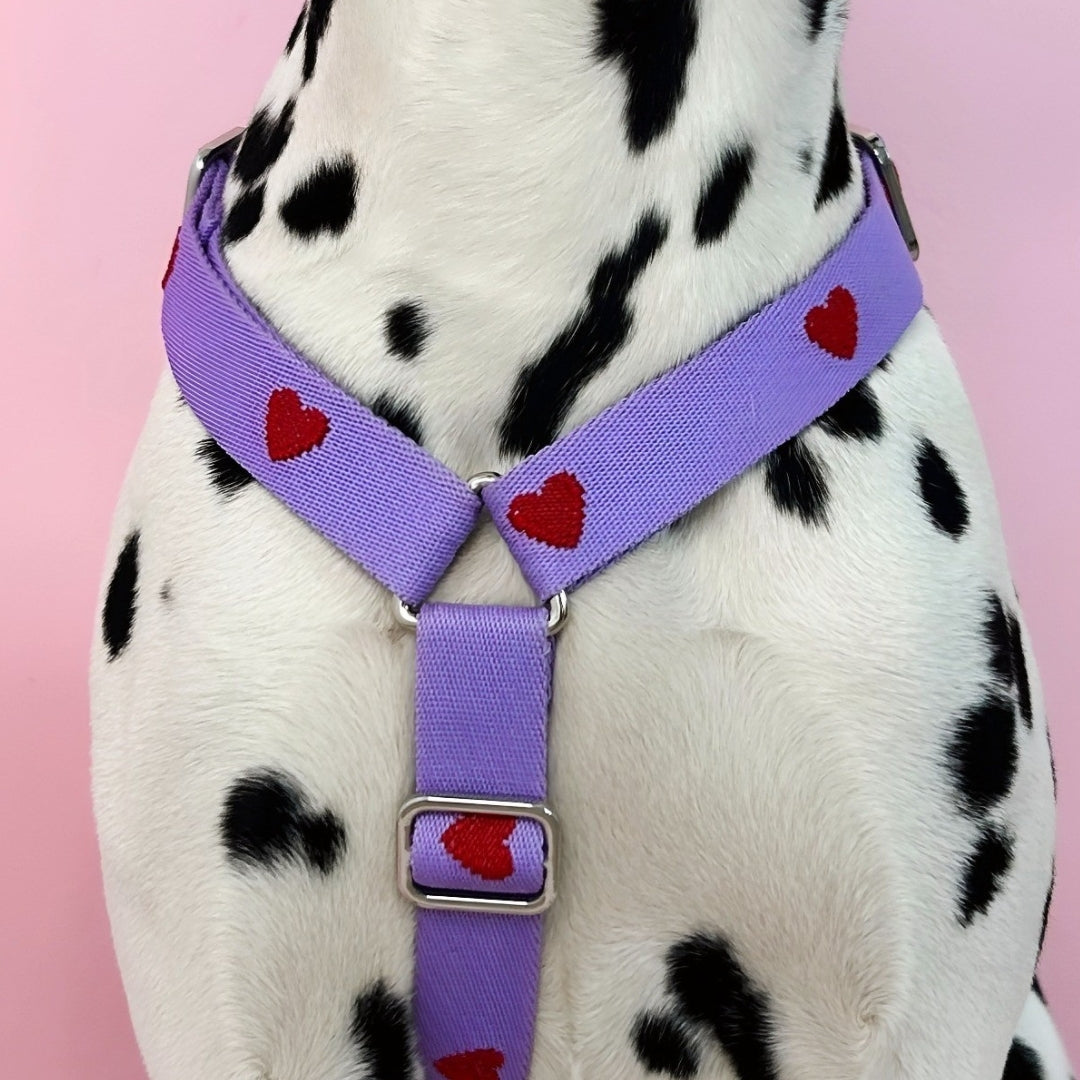Hearts - Purple - Dog Harness / Harness