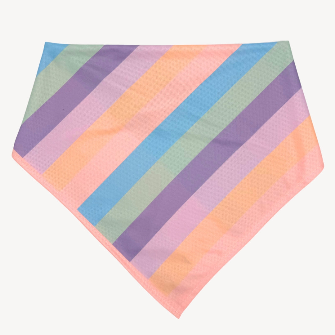 Regenbogen - Matching Bandana-Set