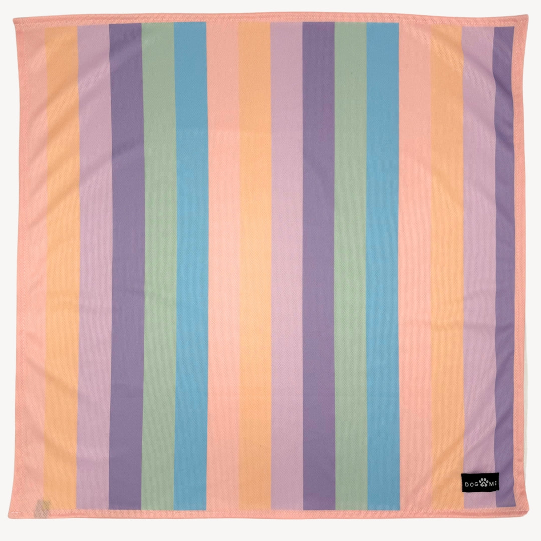 Regenbogen - Matching Bandana-Set