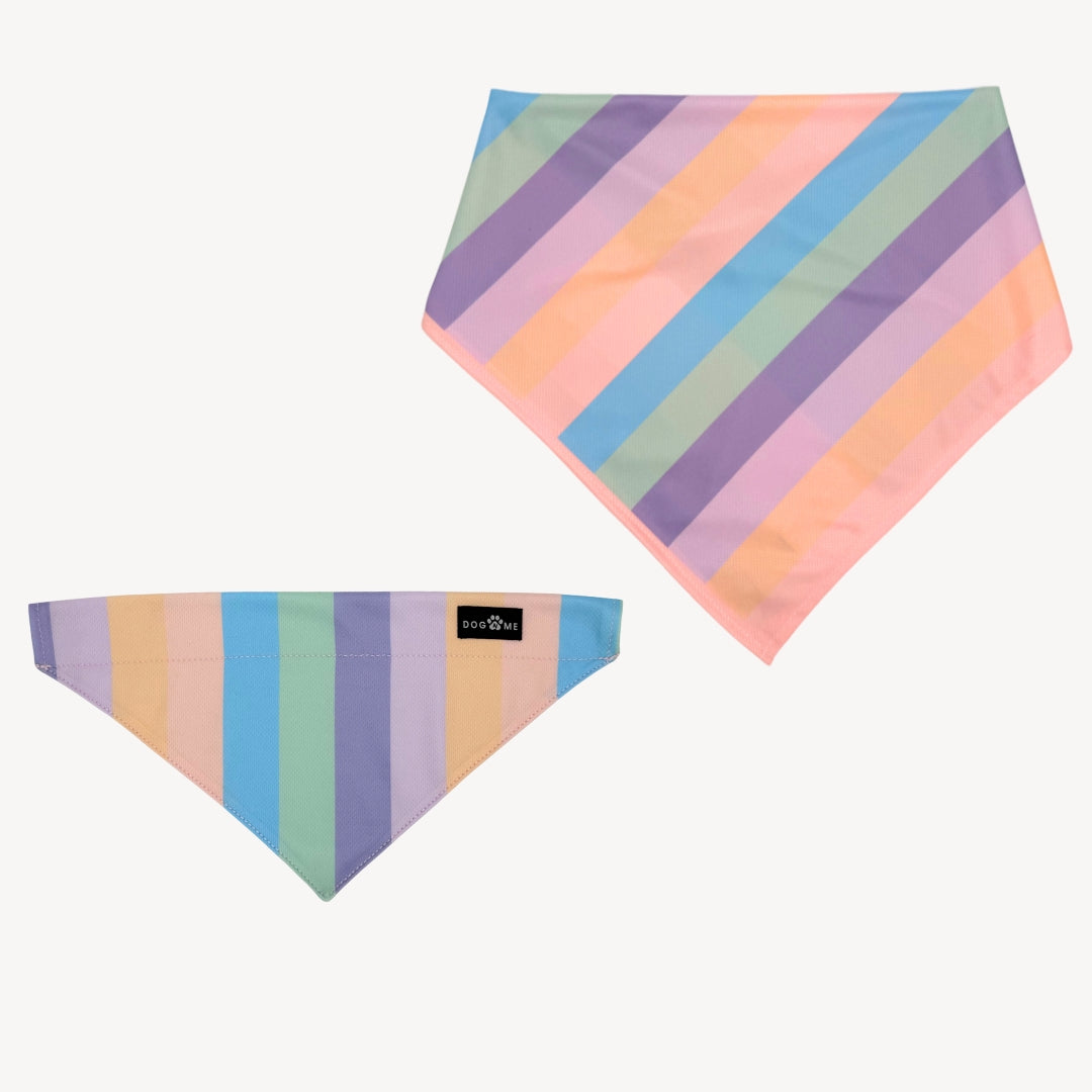 Regenbogen - Matching Bandana-Set