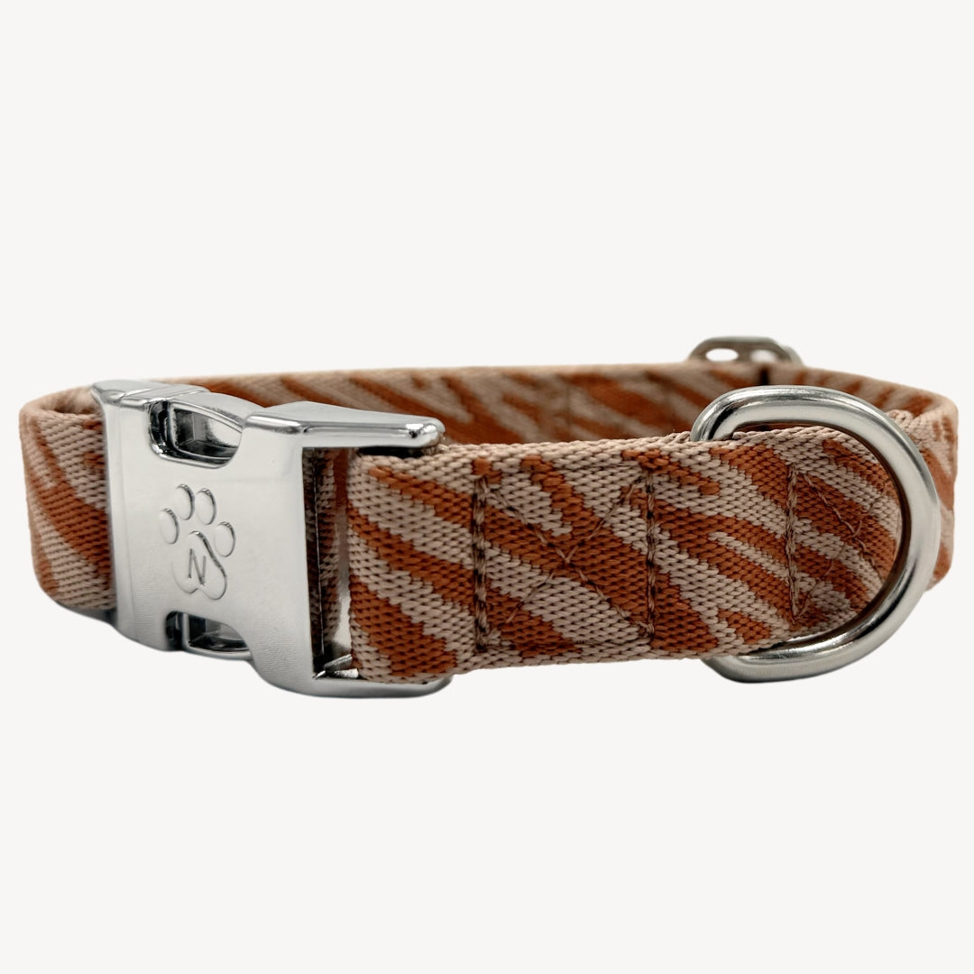 Zebra - Hundehalsband