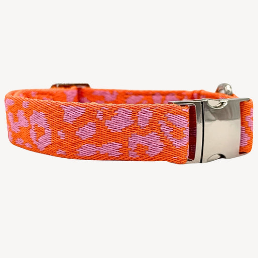 Panther - Orange/Pink - Hundehalsband