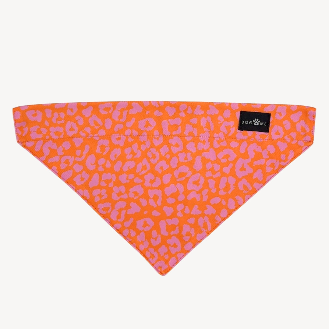 Panther - Orange/Pink - Trail Hunter Ultra Set