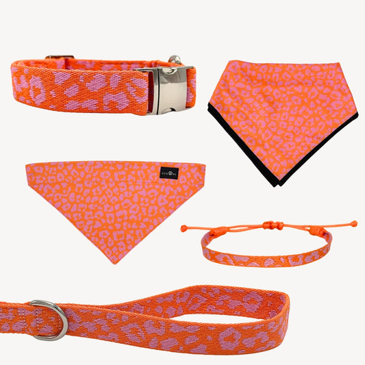 Panther - Orange/Pink - Trail Hunter Ultra Set