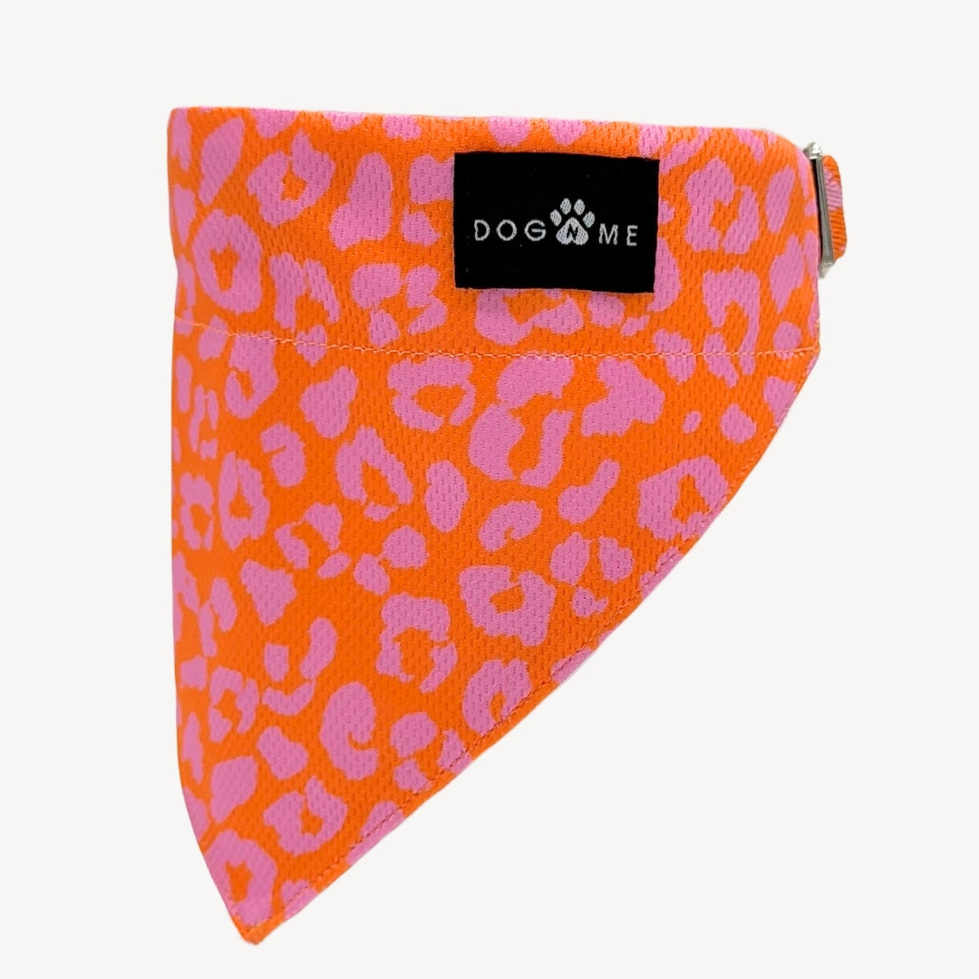 Panther - Orange/Pink - Matching Bandana-Set