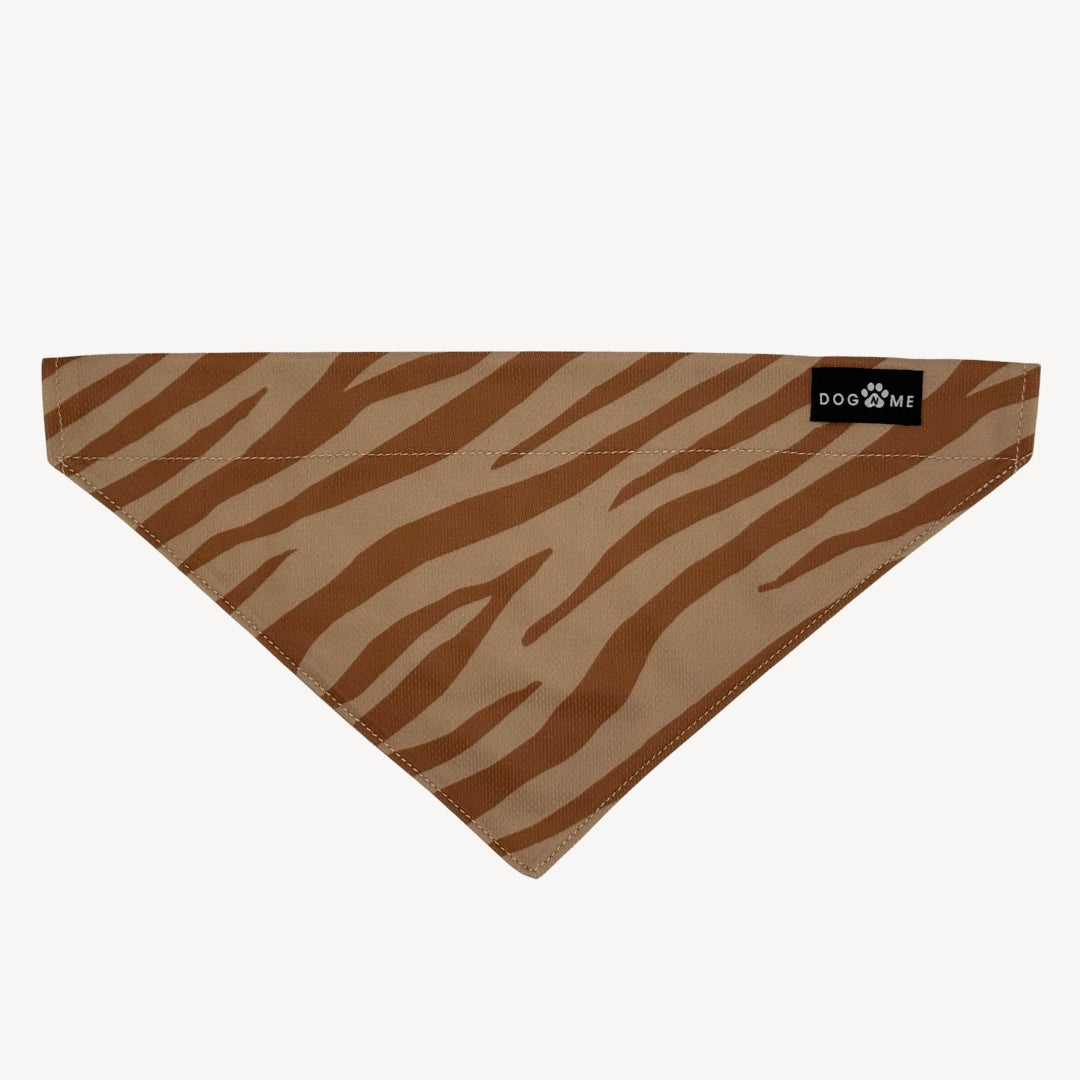 Zebra - Bandana Hund