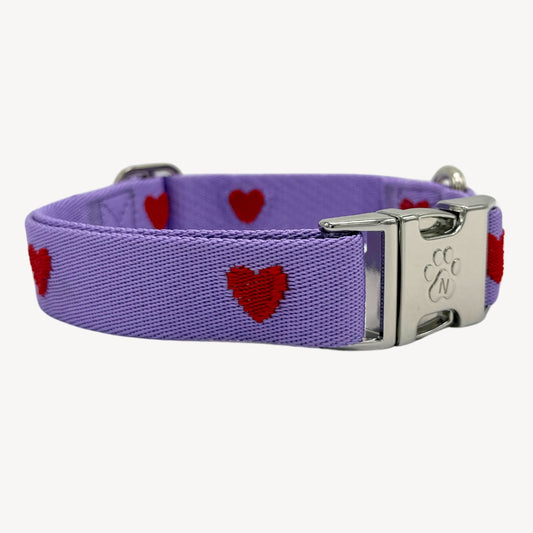 Herzen - Lila - Hundehalsband