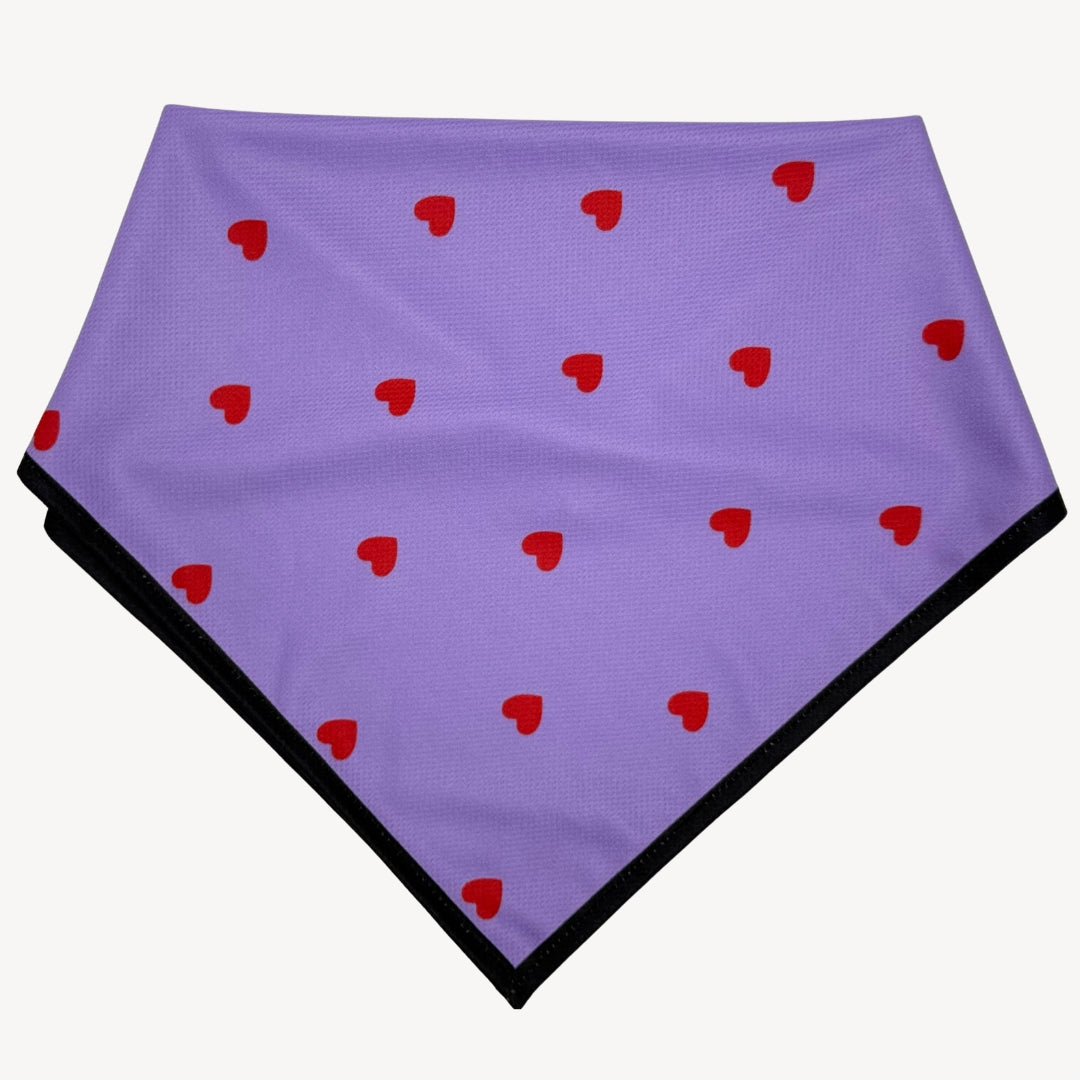 Hearts - Purple - Bandana