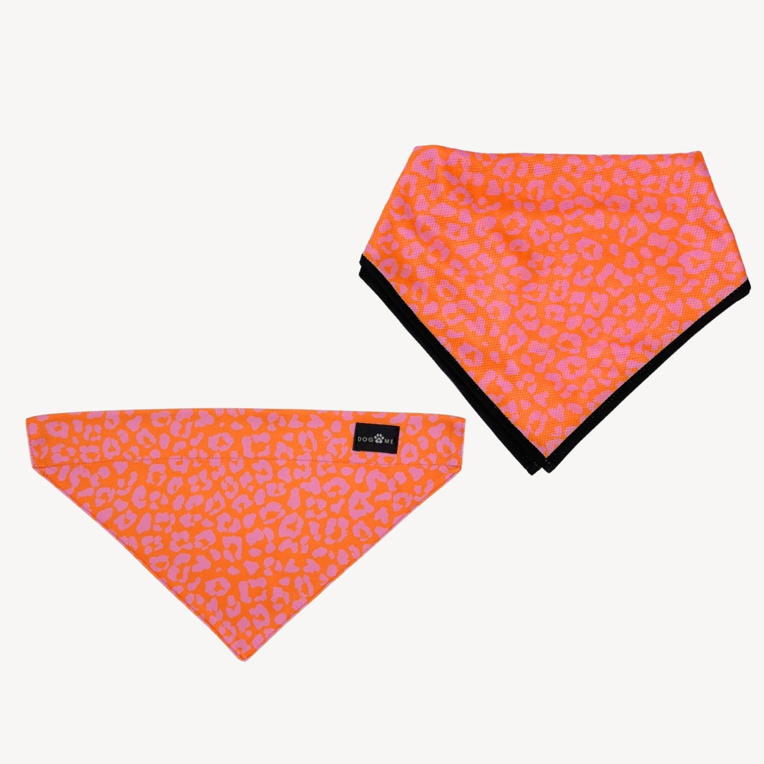 Panther - Orange/Pink - Matching Bandana-Set
