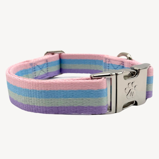 Regenbogen - Hundehalsband