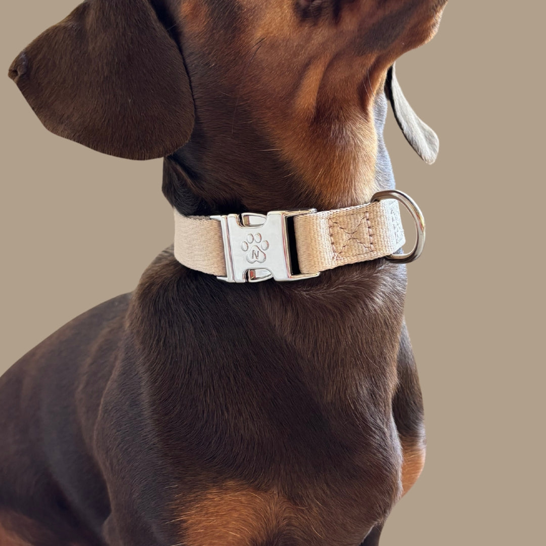 Solid - Sand - Trail Hunter Duo Set