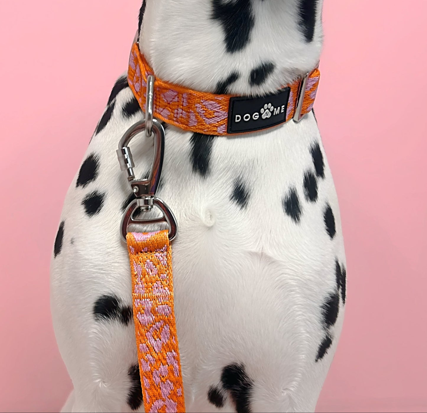 Panther - Orange/Pink - Hundeleine