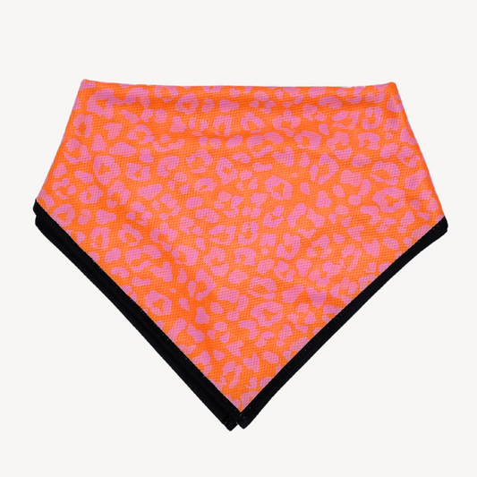 Panther - Orange/Pink - Bandana