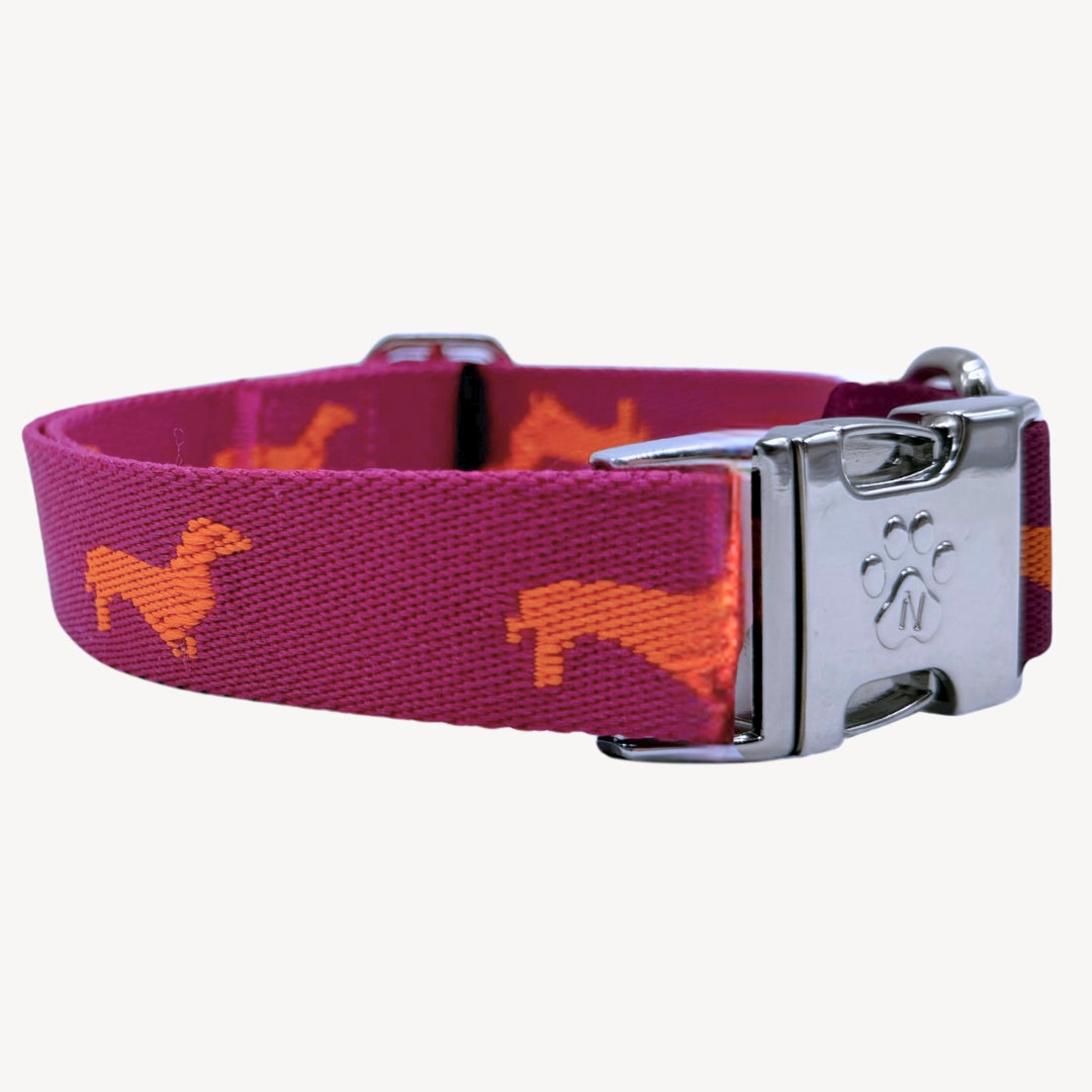Dachshunds - Dog Collar
