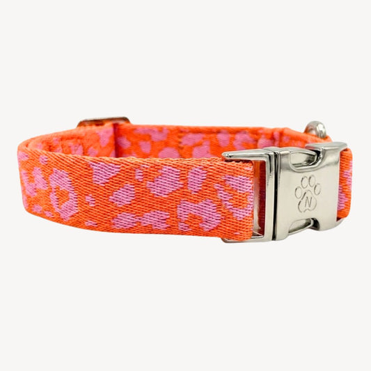 Panter 2.0 - Orange/Pink - Dog Collar