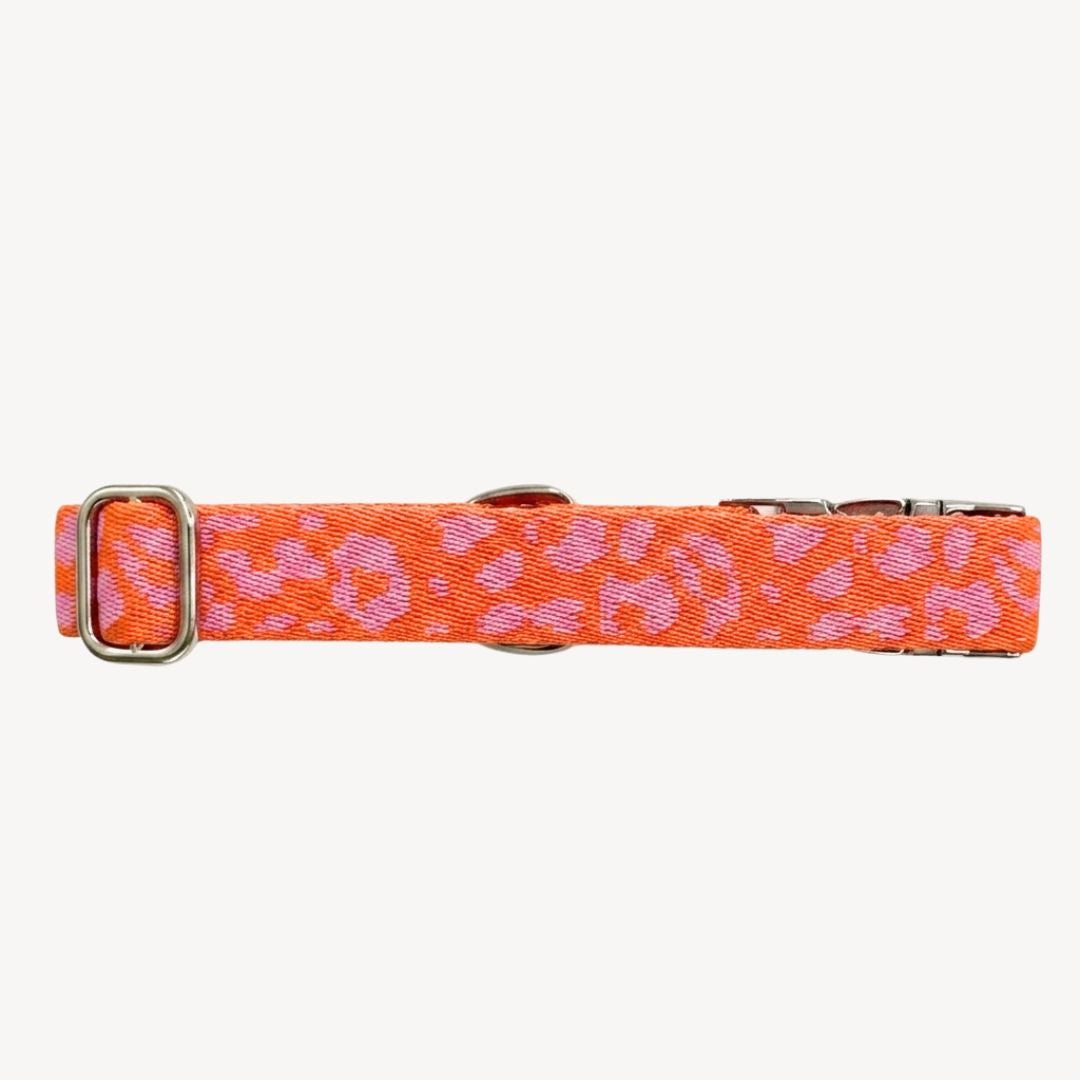Panther 2.0 - Orange/Pink - Matching Paws set