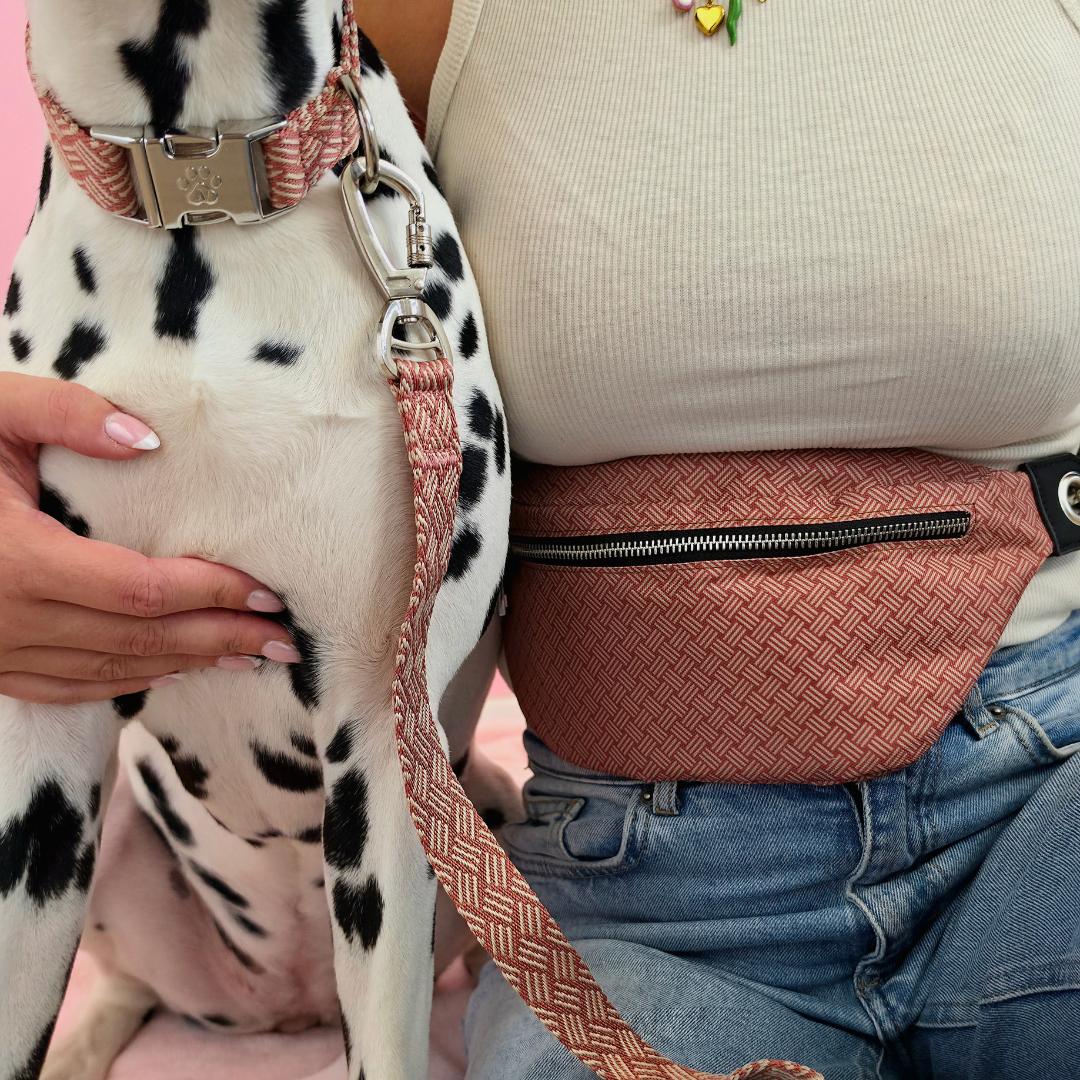 Weave  - Dog Leash